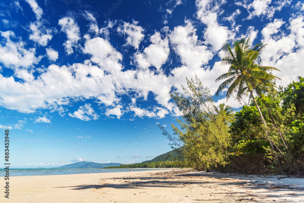 Picturesque tropical coastal sandy beach in Cape Tribulation, Queensland, Australia. Cape Tribulation is within Daintree National Park on Coral Sea.