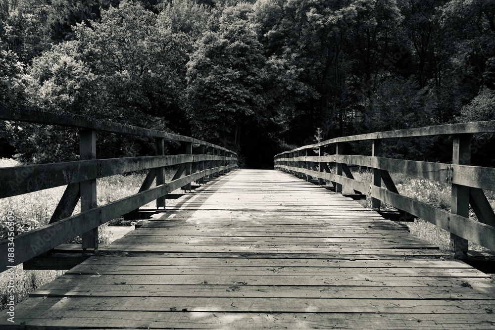 Fototapeta premium Eine Holzbrücke führt in den Wald 