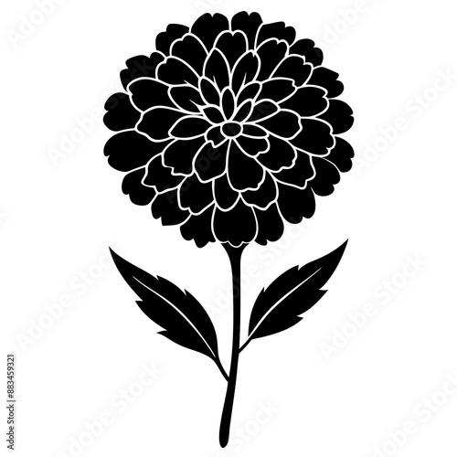 Marigold flower silhouette 