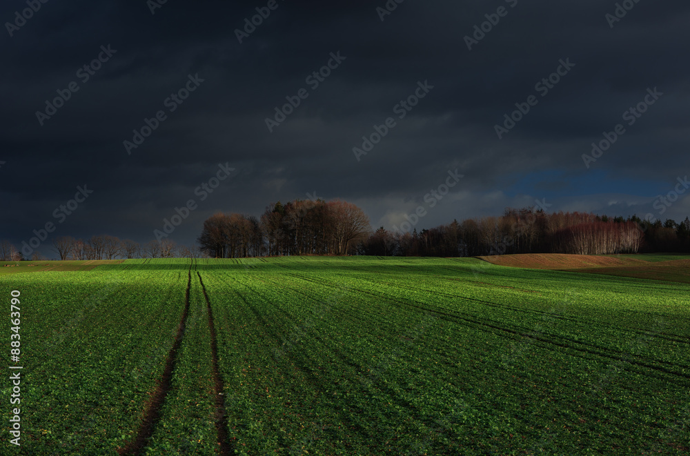 Obraz premium Przedwiośnie na pomorzu