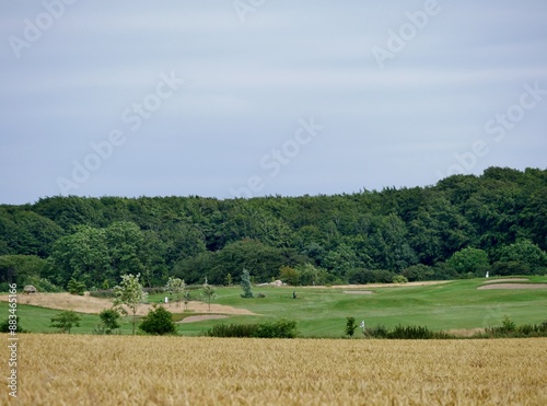 Feld mit Bäumen auf Rügen photo