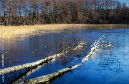 Zimowe jezioro photo