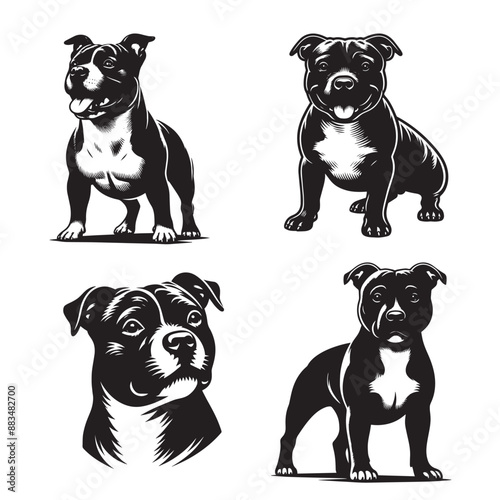 Black and White Staffordshire Bull Terrier Silhouettes isolated on a white background