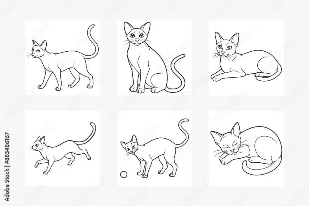 Naklejka premium Cats Vector Illustration Bundle. Perfect for Designers and Cat Lovers