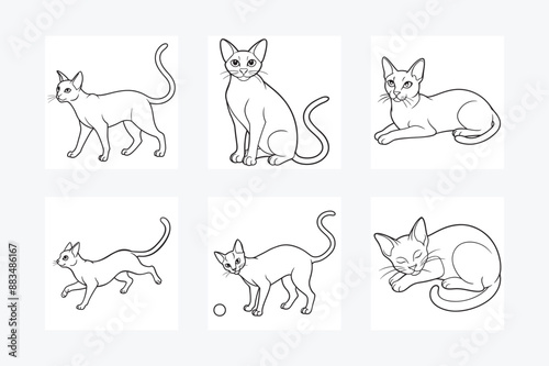 Cats Vector Illustration Bundle. Perfect for Designers and Cat Lovers