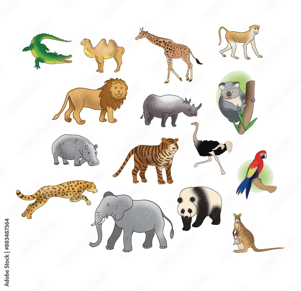 set of animals set of animals