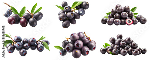 Superfood Delight Bunch of Fresh Sweet Acai Berries Fruit Isolated on Transparent Background