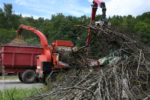 Eine Holzhäckselmaschine zerkleinert Äste im Wald. Das zerkleinerte Holz wird als Silage in Futtermittel oder Biogasanlagen verwendet. Ein Greifarm legt das Restholz auf das Förderband 
