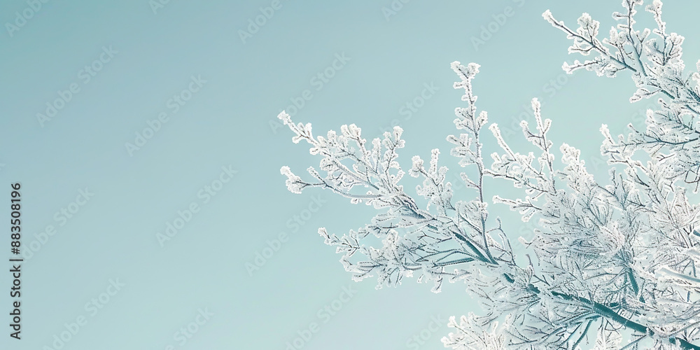 Icy Grip: Frosty branches stretching out toward a pale blue winter sky. Icy Grip: Frosty branches stretching out toward a pale blue winter sky.