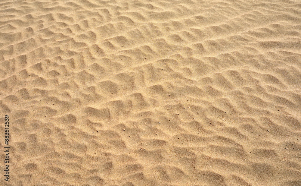Desert Dune Texture Close Up. Sand texture. Desert surface detail. Desert Dune Texture Close Up. Sand texture. Desert surface detail.
