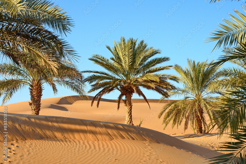 Obraz premium Sunset over the desert of Al Khatim in Abu Dhabi, Emirates. Golden Sand Dune Desert Landscape Panorama. Beautiful sunset over the sand dunes in the Al Khatim in Abu Dhabi, Emirates