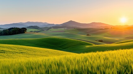 Leinwandbilder Honigfarbe A breathtaking view of an idyllic green landscape featuring gently rolling hills bathed in the golden light of sunrise, presenting a tranquil and picturesque rural scene.  © Pinklife