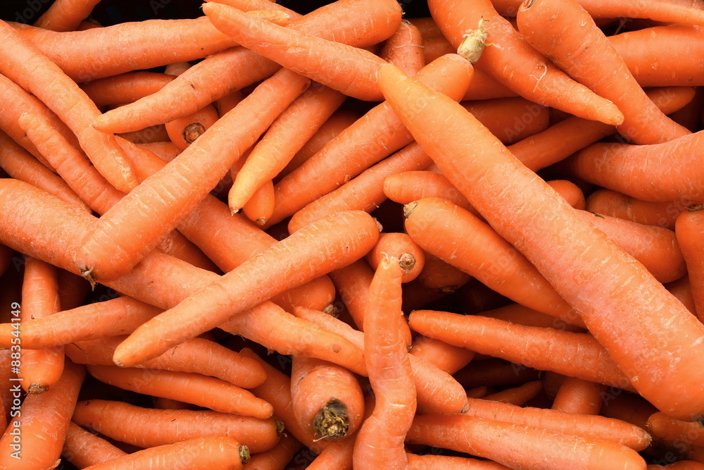 Texture background of fresh large orange carrots. Seamless carrot pattern. Texture background of fresh large orange carrots. Seamless carrot pattern.