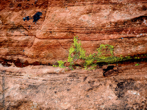 Colorful and Textured Red Rock in Arizona