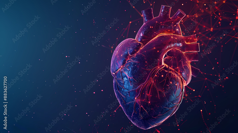 Heart, medical concept Heart, medical concept