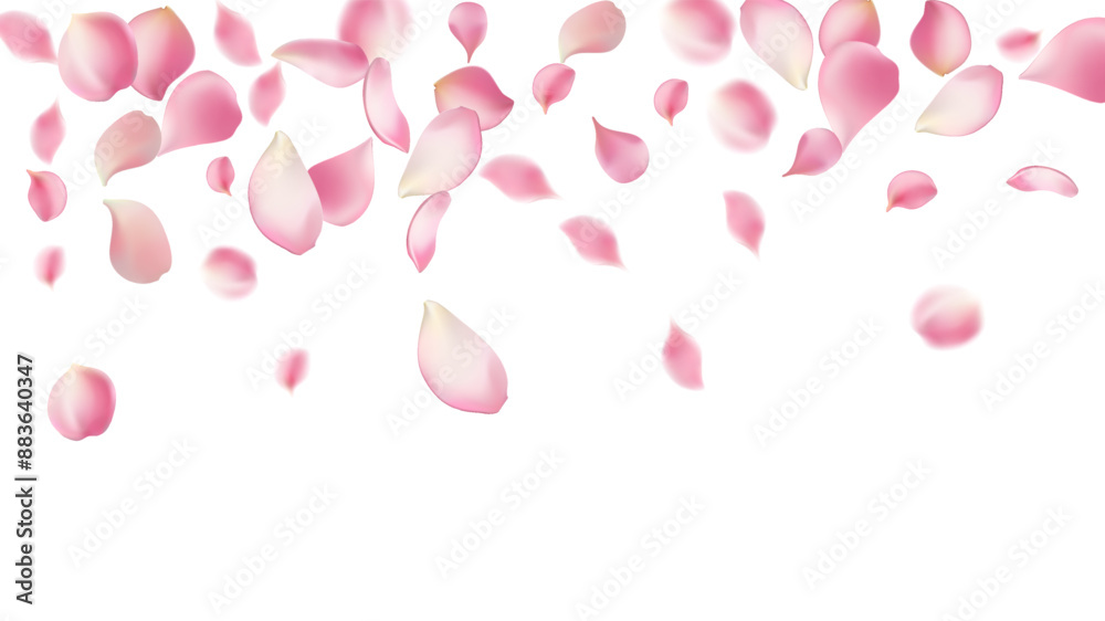 Pink rose petals fall on abstract floral background with gorgeous rose petal greeting card design,Flower flying background,cherry blossom Pink rose petals fall on abstract floral background with gorgeous rose petal greeting card design,Flower flying background,cherry blossom