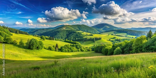 Fototapeta Naklejka Na Ścianę i Meble -  Beautiful summer mountain landscape with a green meadow and blue sky at Polonina Wetlinska, Bieszczady, Carpathians