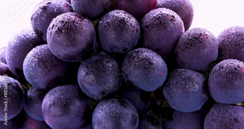 taiwan, fruit, purple, kyoho grapes