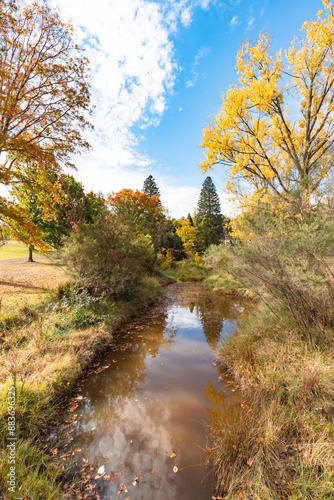 Autumn foliage at Alma Park, Uralla photo