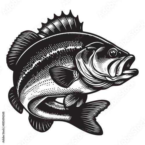 Big bass fish vector Jumping largemouth bass fish silhouette Bass fish vector illustration