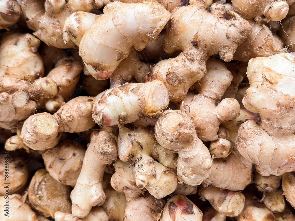 close up of pieces of ginger at the markets close up of pieces of ginger at the markets