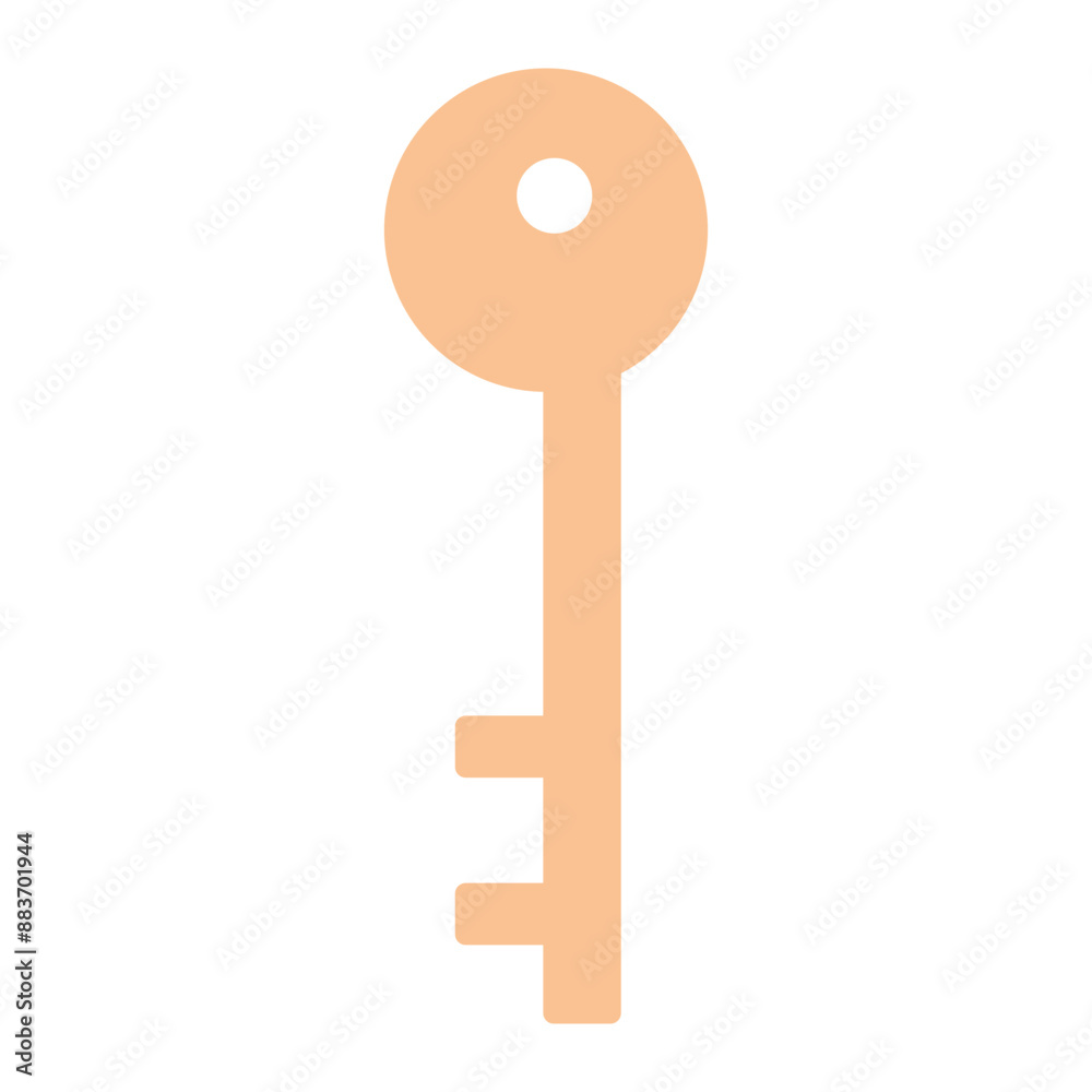 key icon key icon