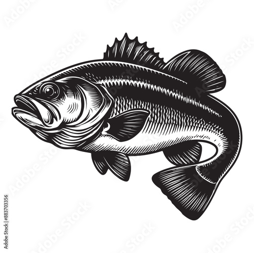 Big bass fish vector Jumping largemouth bass fish silhouette Bass fish vector illustration