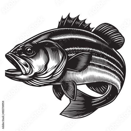 Big bass fish vector Jumping largemouth bass fish silhouette Bass fish vector illustration