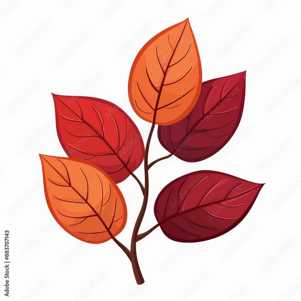 A leafy tree with five leaves in various shades of red and orange A leafy tree with five leaves in various shades of red and orange