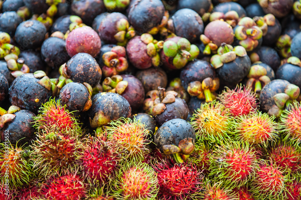 Mangosteen and Rambutan at the Market Mangosteen and Rambutan at the Market