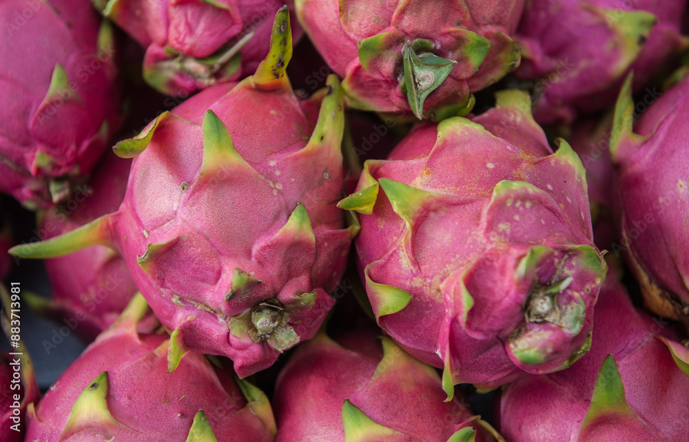 Fresh dragon fruit Fresh dragon fruit