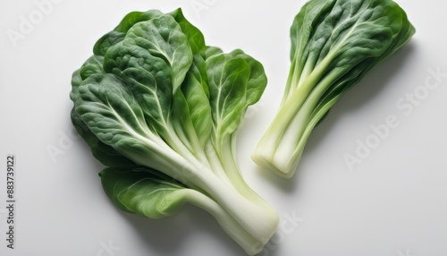 Bok choy vegetable on white background