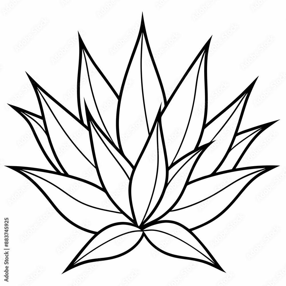 Agave vector silhouette illustration