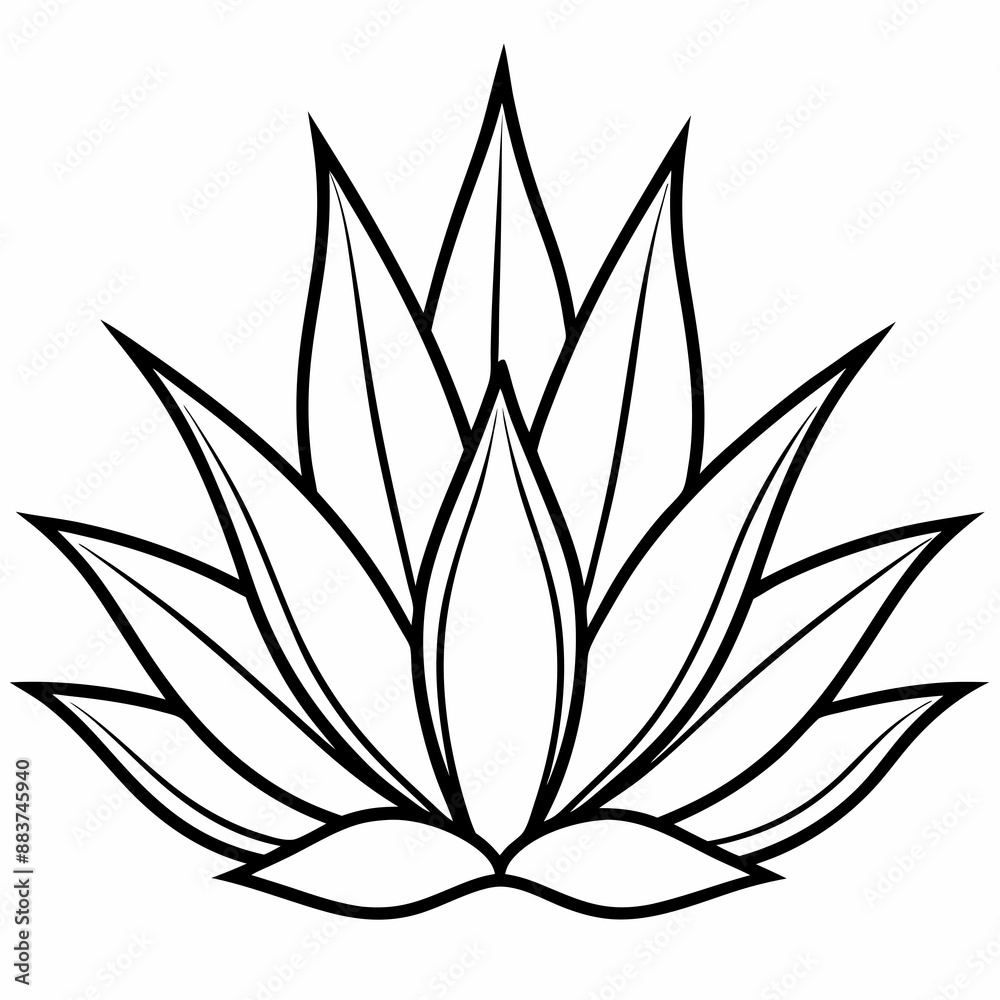 Agave vector silhouette illustration Agave vector silhouette illustration