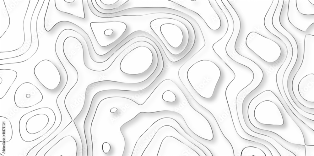 Fototapeta premium Abstract design with black and white abstract papercut and multi-layer cutout geometric pattern on vector Topographic canyon geometric map relief texture with curved layers beautiful design.