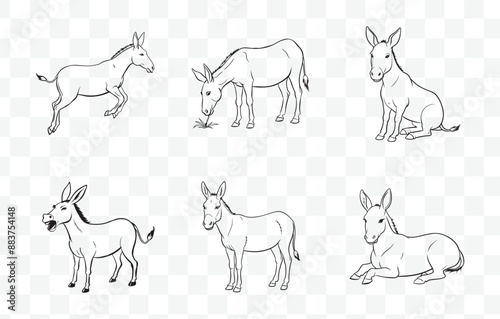 Print Comprehensive Mule Line Art Vector Set for Illustrations Graphics and Design Projects
