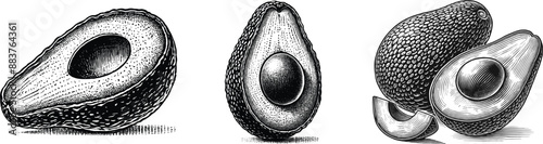 Set of avocado, products for healthy diet, vector illustration.