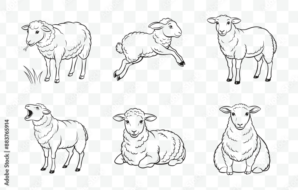 Fototapeta premium Print Sheep Line Art Vector Set Detailed Illustrations of Sheep in Minimalist Line Art Style Perfect for Farm and Animal Lovers