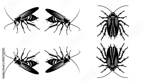 et of Hand Drawn Insects or Small Animals Sketch Vector Illustration Isolated on White Background Hand-sketched insects collection. Hand drawn beetles, bugs, butterflies, dragonfly, cicada, moths, be