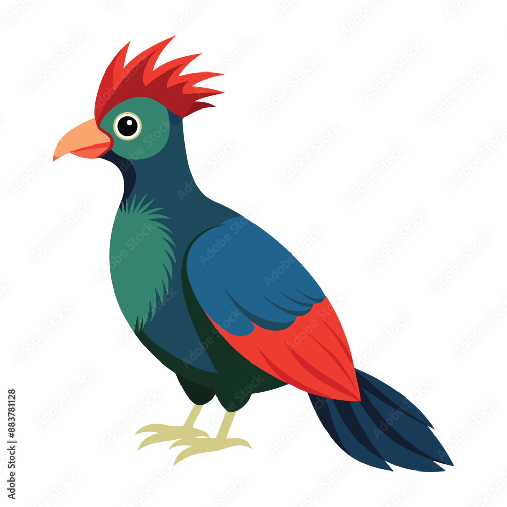 Illustration of Turaco bird Isolated on white Illustration of Turaco bird Isolated on white
