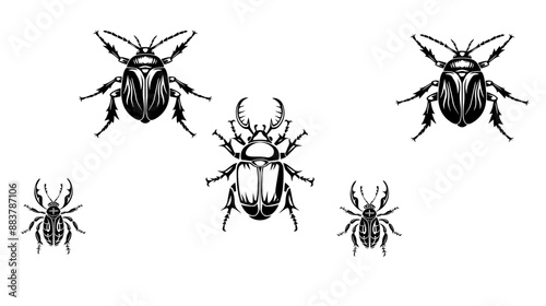 vector isolated set of insect silhouettes