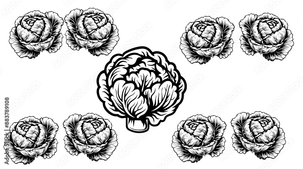Outline hand drawn set of vegetables. Cabbage, broccoli, cauliflower, Chinese cabbage and Brussels sprouts.vector collection of cabbage silhouettes
Outline hand drawn set of vegetables. Cabbage, broccoli, cauliflower, Chinese cabbage and Brussels sprouts.vector collection of cabbage silhouettes