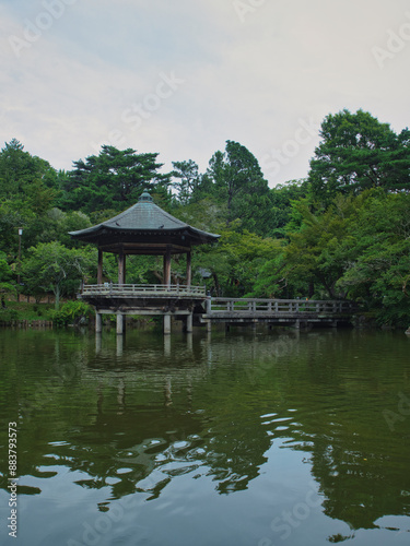 梅雨の成田山公園