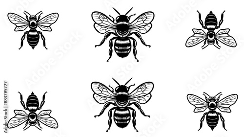 
vector isolated set of insect silhouettes
