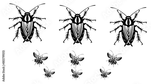 vector isolated set of insect silhouettes,Hand drawn vector illustration. Vector drawing of tree honeybee