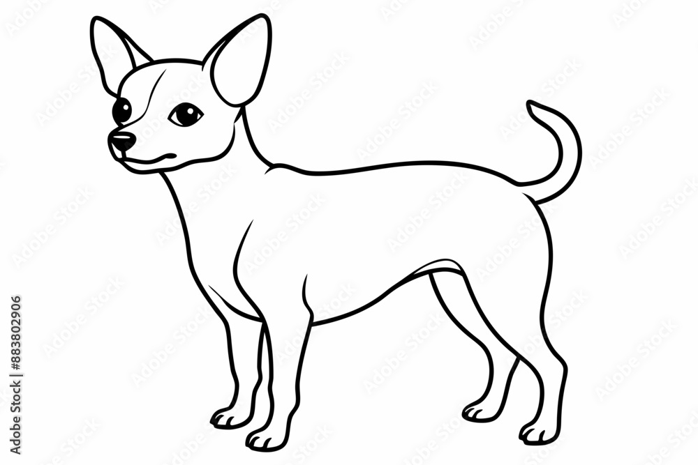 Chihuahua Dog breed line art vector Isolated on white background Chihuahua Dog breed line art vector Isolated on white background