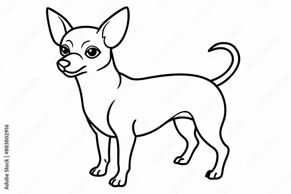 Chihuahua Dog breed line art vector Isolated on white background Chihuahua Dog breed line art vector Isolated on white background