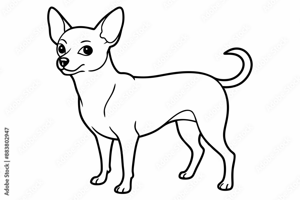 Chihuahua Dog breed line art vector Isolated on white background Chihuahua Dog breed line art vector Isolated on white background