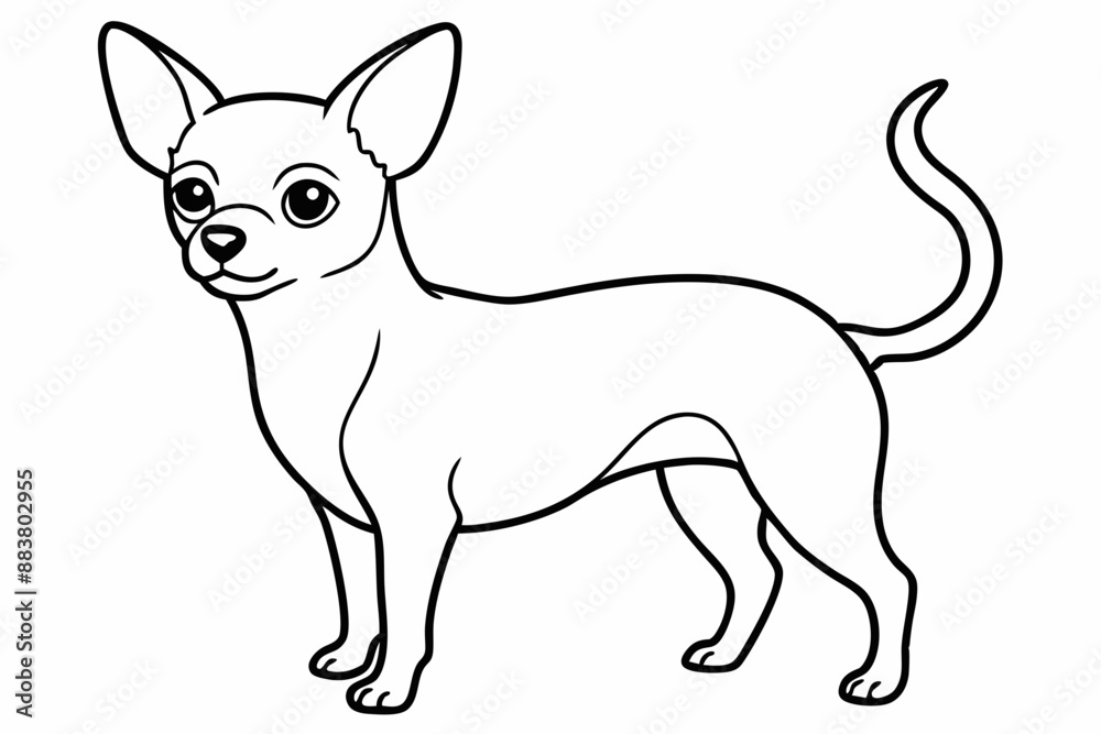 Chihuahua Dog breed line art vector Isolated on white background Chihuahua Dog breed line art vector Isolated on white background