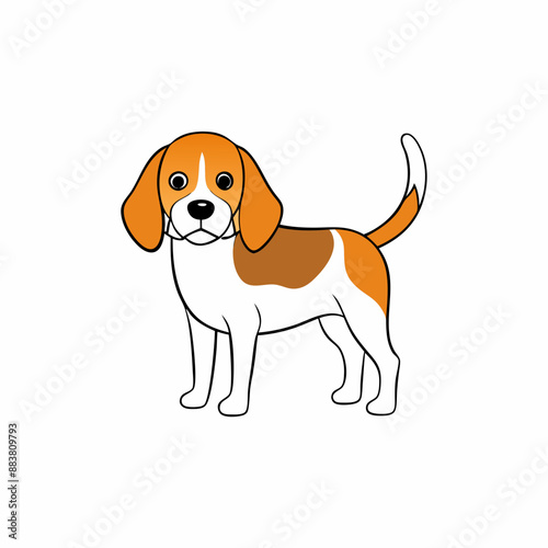 beagle dog isolated on white